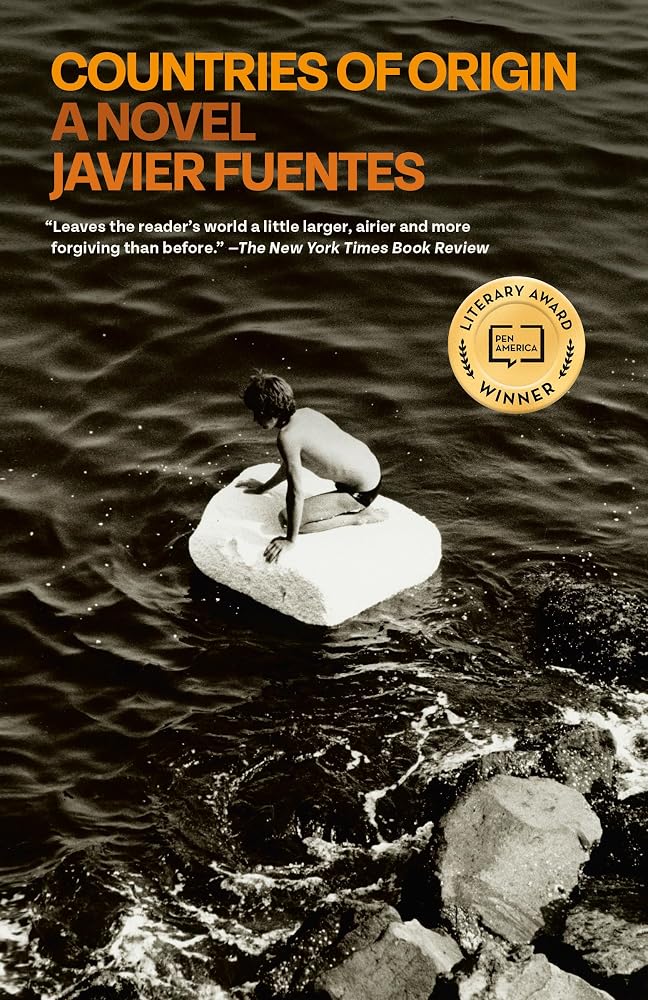 Countries of Origin: A Novel cover image