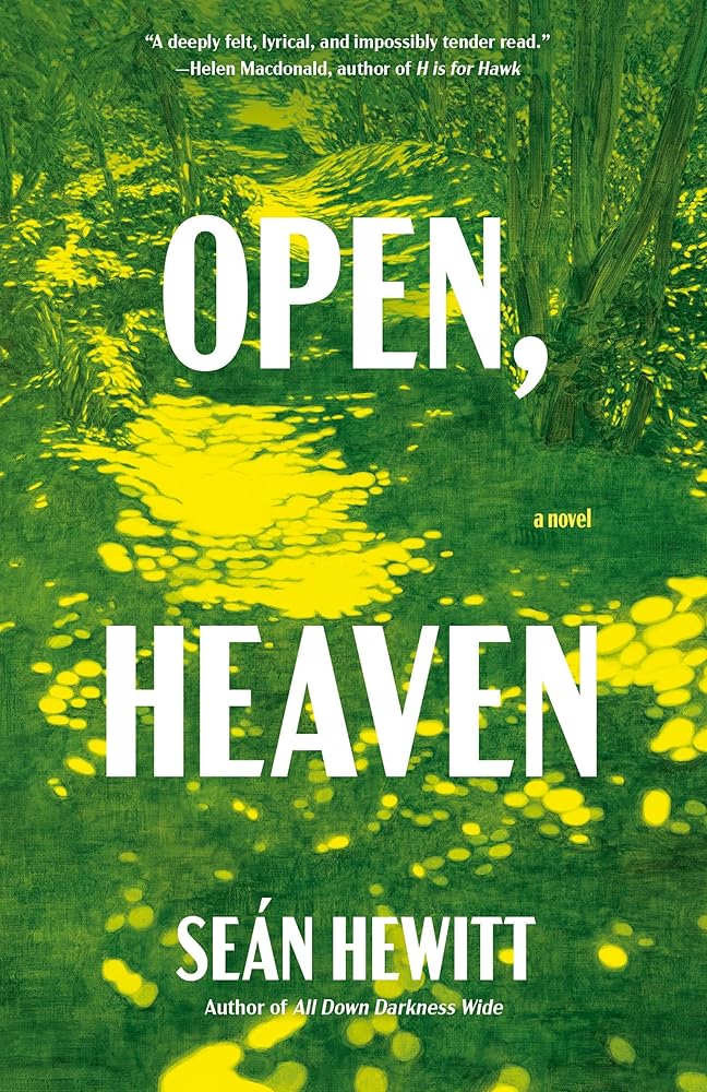 Open, Heaven: A Novel cover image